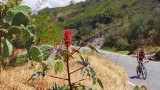 03. Tarma - Cusco (101)