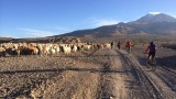 05. La Paz - Salta (101)