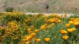 07. Mendoza - Bariloche (101)