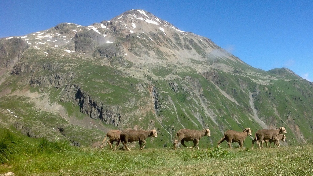 Les Dix Alpes 2016 (114)