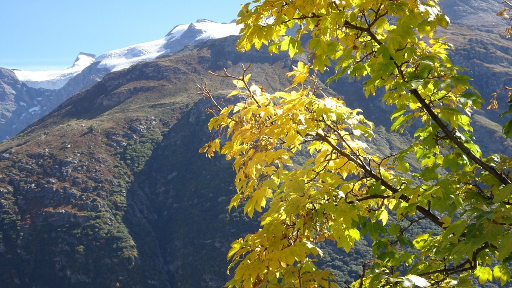 Les Dix Alpes 2018 (116)