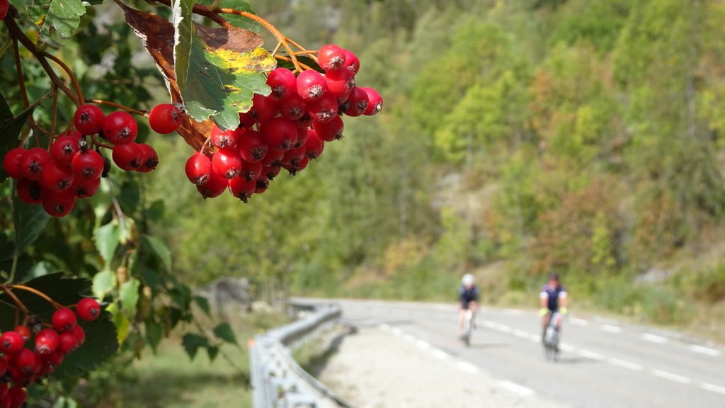 Les Dix Alpes 2018 (140)