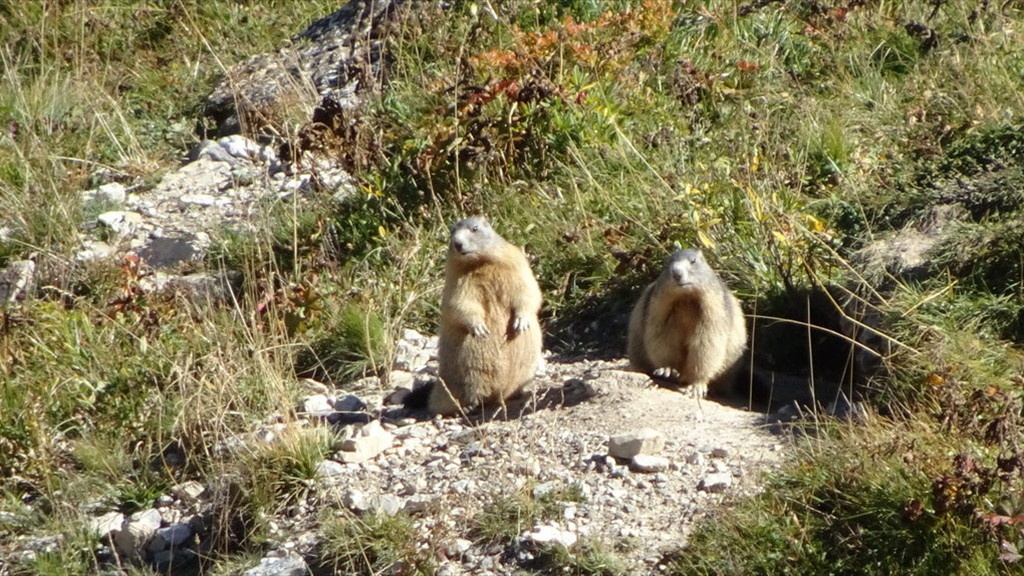 Les Dix Alpes 2018 (158)