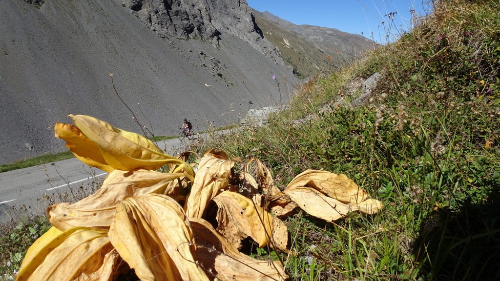 Les Dix Alpes 2018 (161)