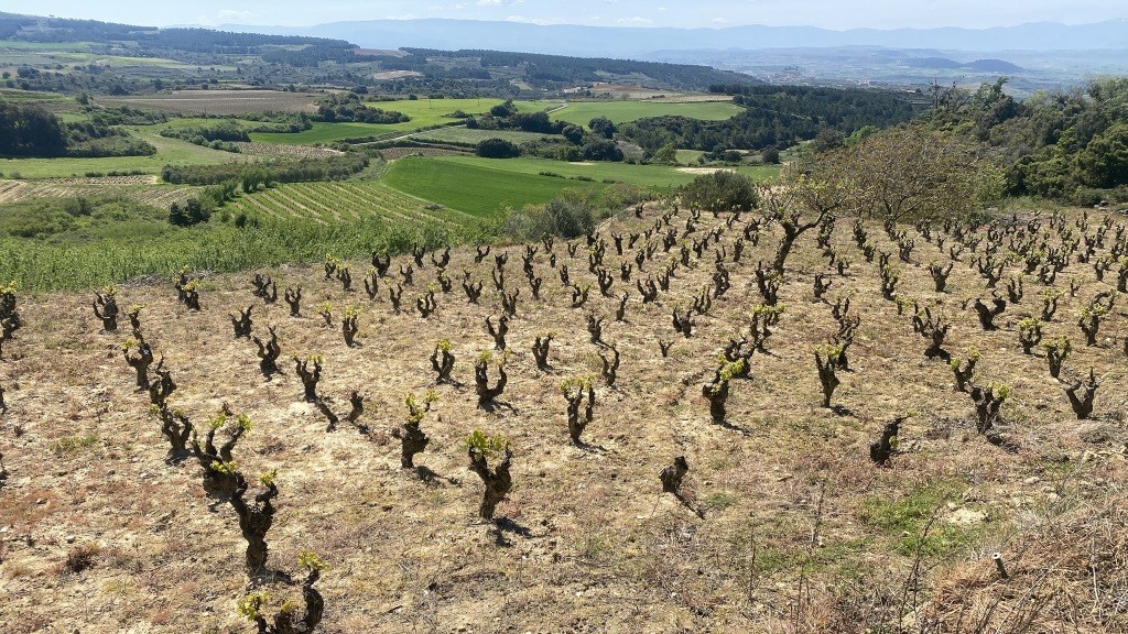 01. Hondarribia - Segovia (117)