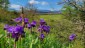 01. Hondarribia - Segovia (109)