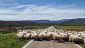 01. Hondarribia - Segovia (159)