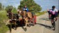 03. Merida - Cadiz (102)
