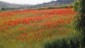 03. Merida - Cadiz (110)