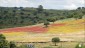 03. Merida - Cadiz (121)
