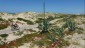 03. Merida - Cadiz (135)
