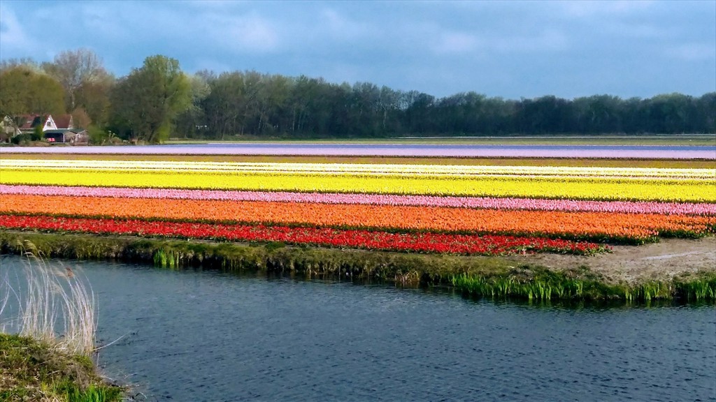 01. Amsterdam - Groningen (136)