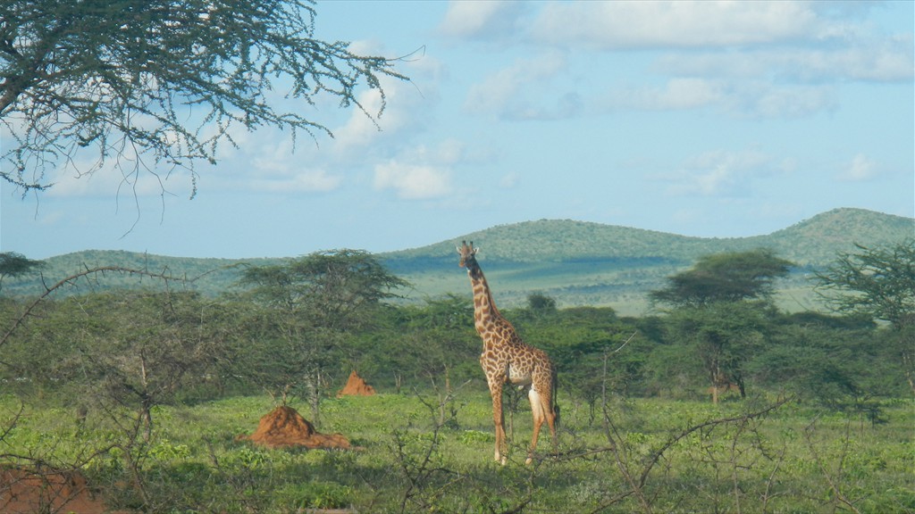 01. Nairobi - Oloitokitok (128)