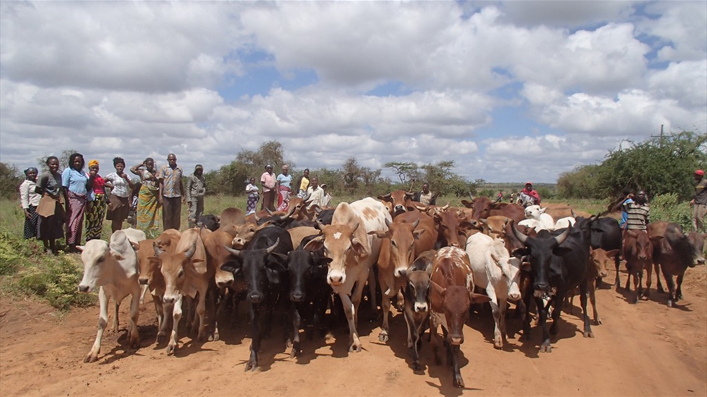 01. Nairobi - Oloitokitok (132)