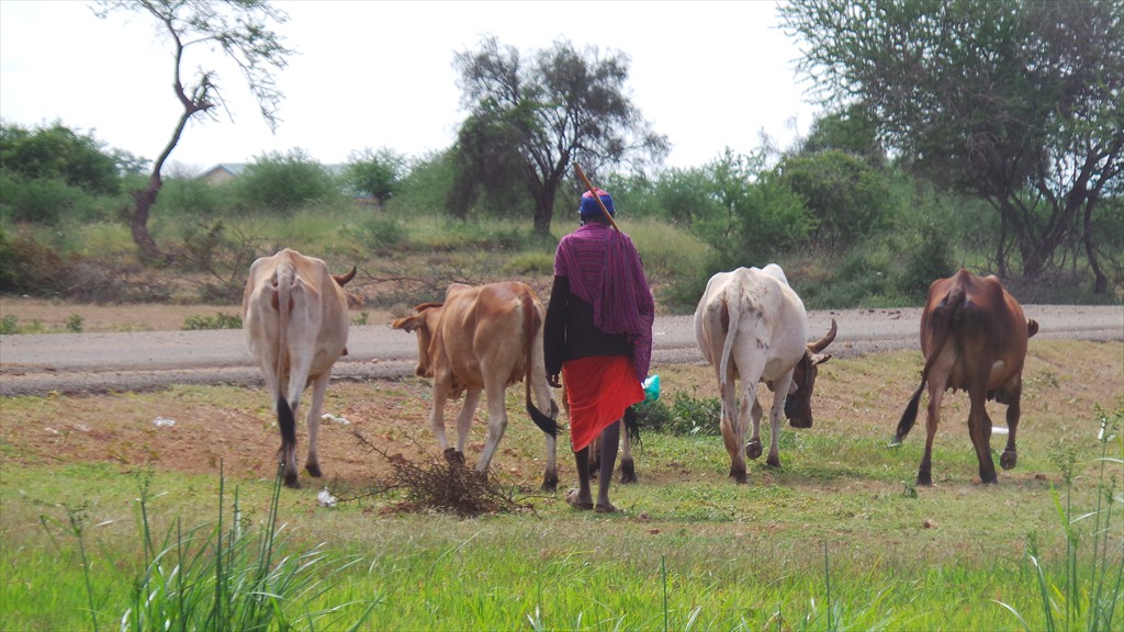 01. Nairobi - Oloitokitok (135)