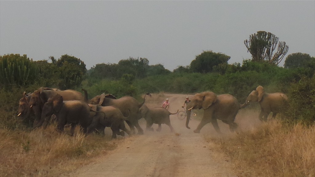 11. Queen Elizabeth NP (101)