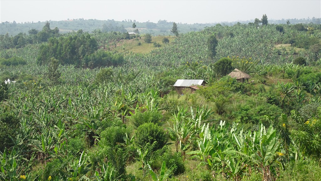 11. Queen Elizabeth NP - Fort Portal (106)