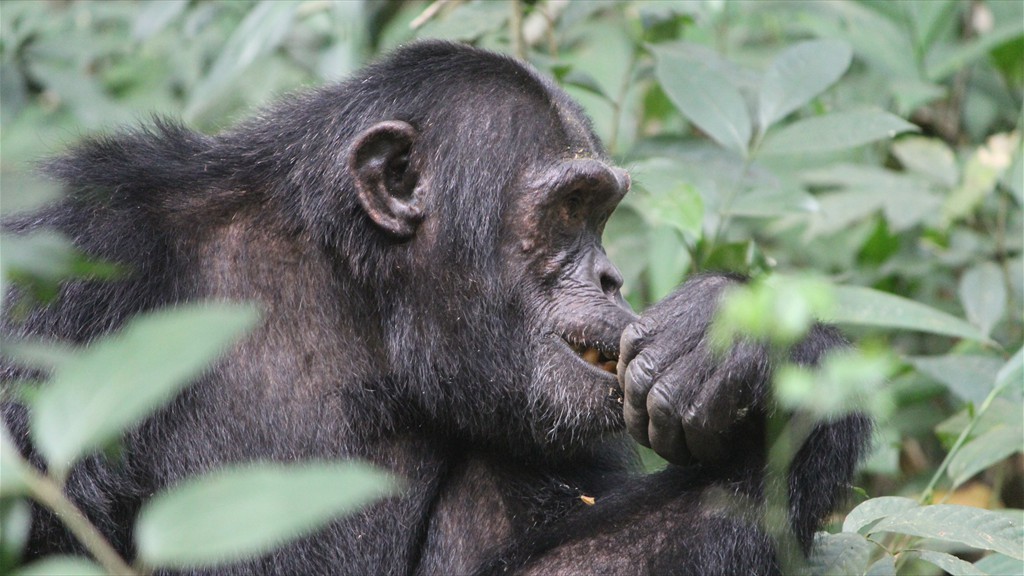 11. Queen Elizabeth NP - Fort Portal (137)