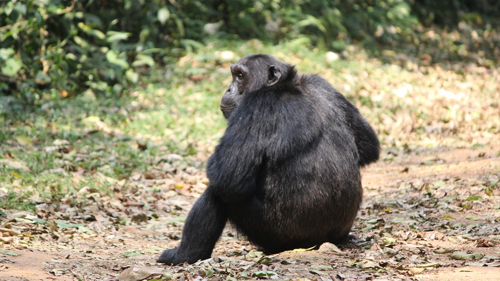 11. Queen Elizabeth NP - Fort Portal (138)