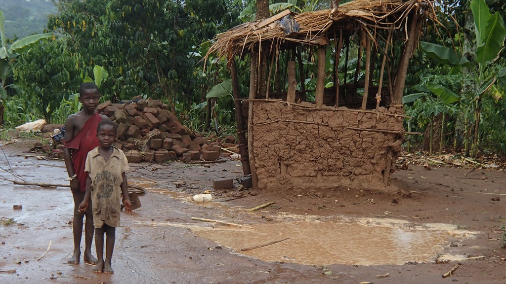 14. Fort Portal - Jinja (115)