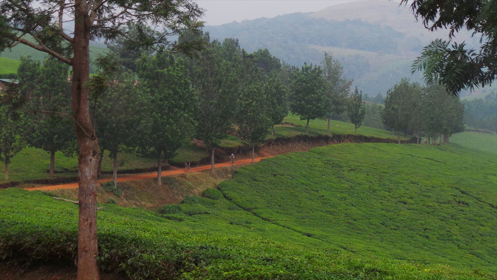 14. Fort Portal - Jinja (129)