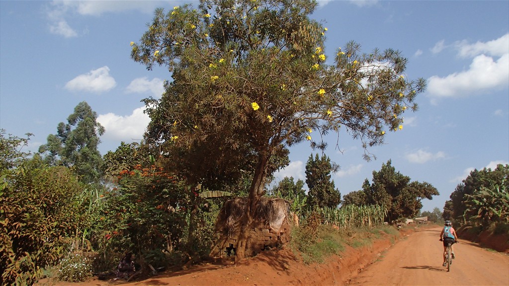 14. Fort Portal - Jinja (141)