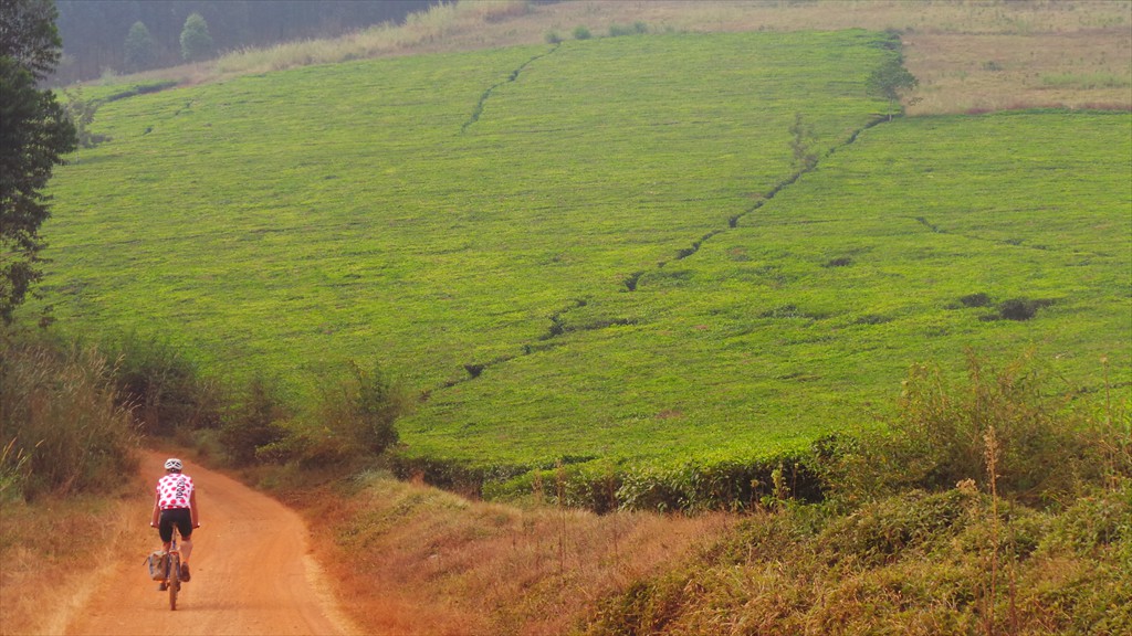 14. Fort Portal - Jinja (146)