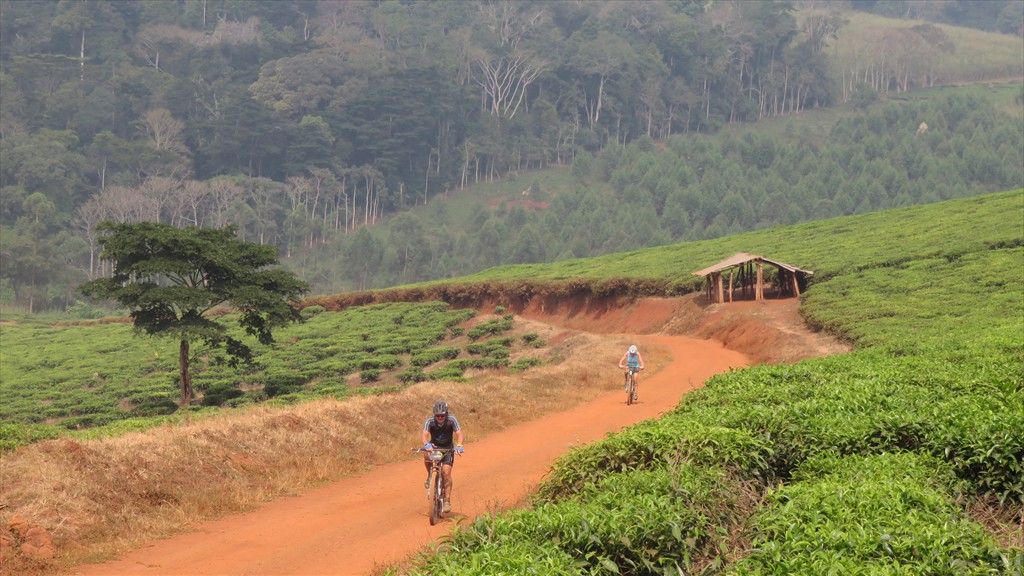 14. Fort Portal - Jinja (150)