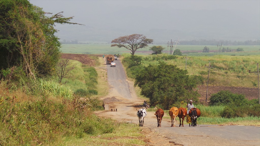 16. Jinja - Njoro (124)