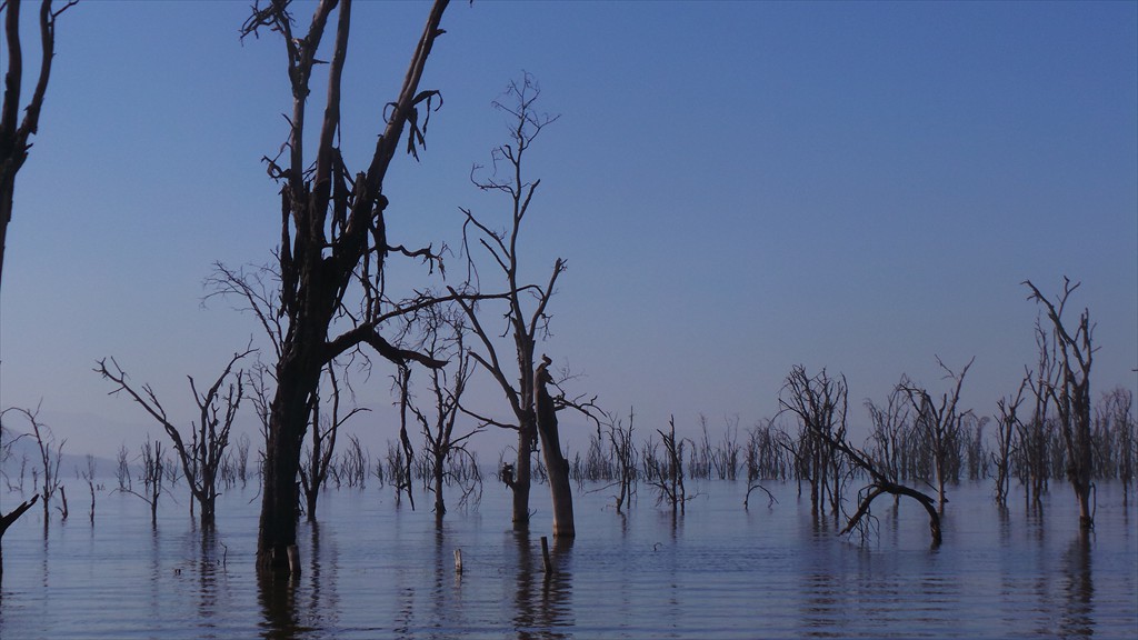 17. Lake Nakuru (105)