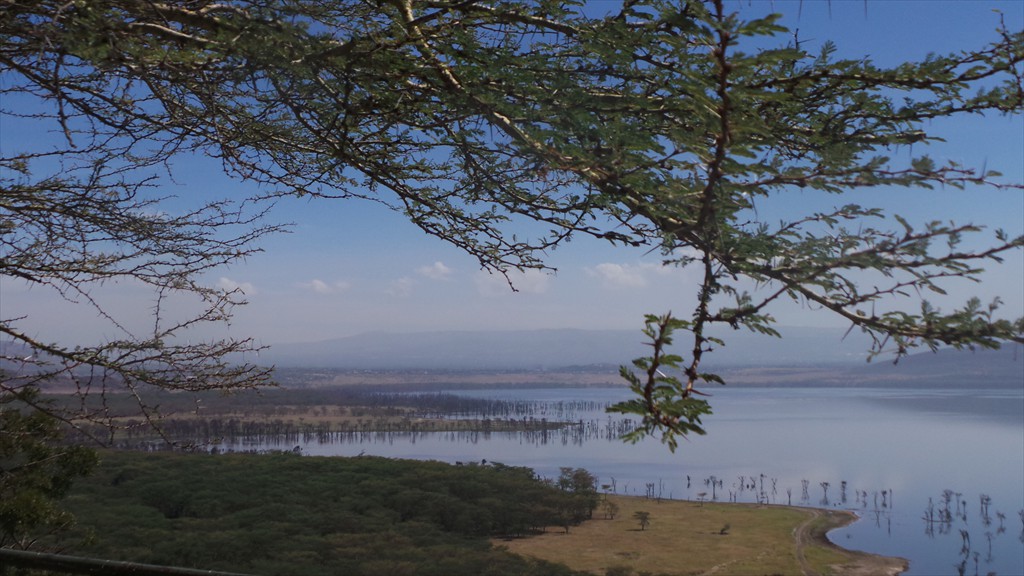 17. Lake Nakuru (115)