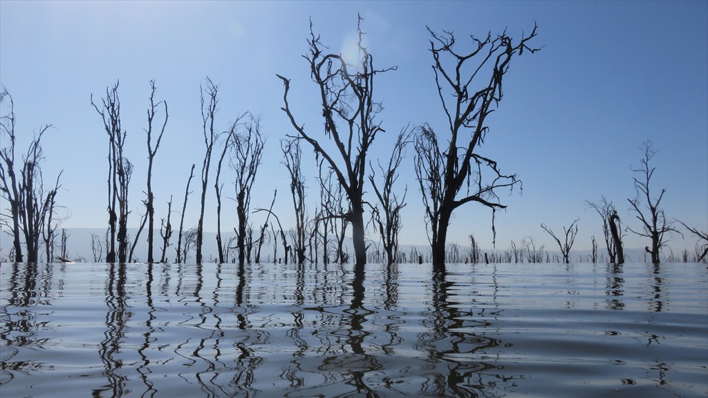 17. Lake Nakuru (127)