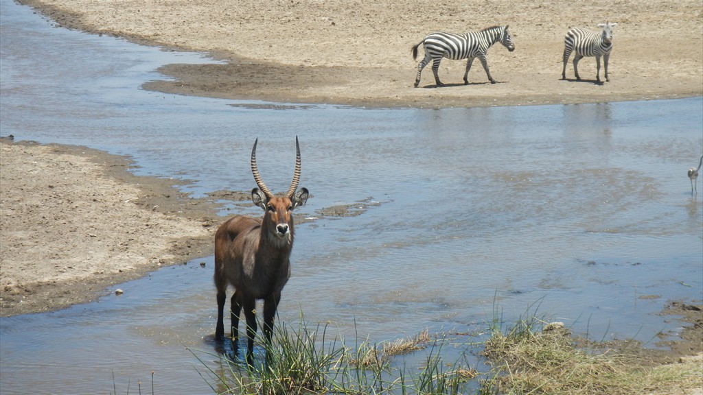 17. Lake Nakuru (129)