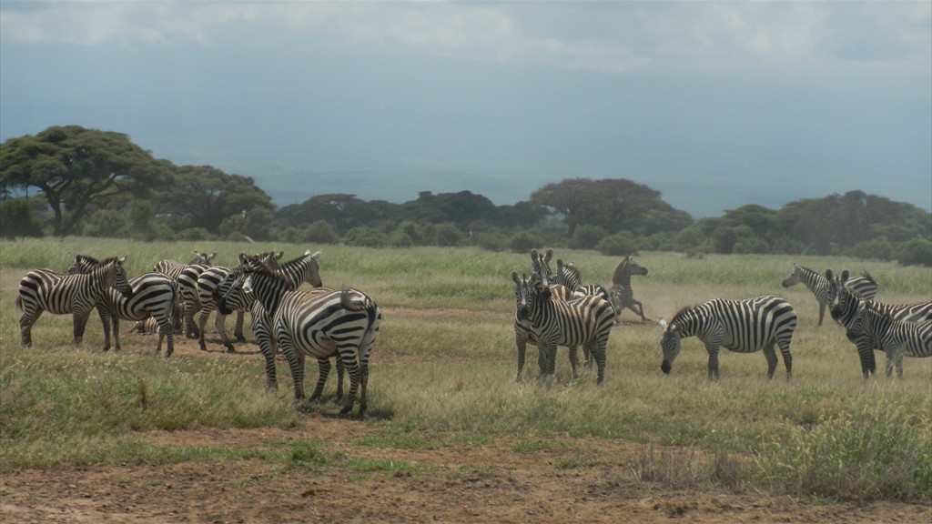 02. Amboseli NP (105)