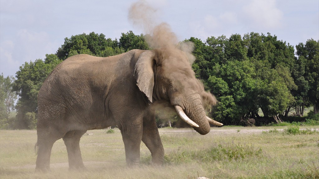 02. Amboseli NP (112)