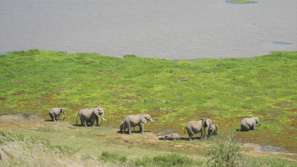 02. Amboseli NP (116)