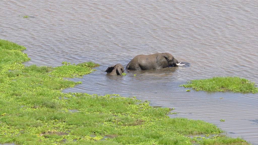 02. Amboseli NP (121)