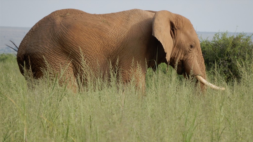 02. Amboseli NP (128)