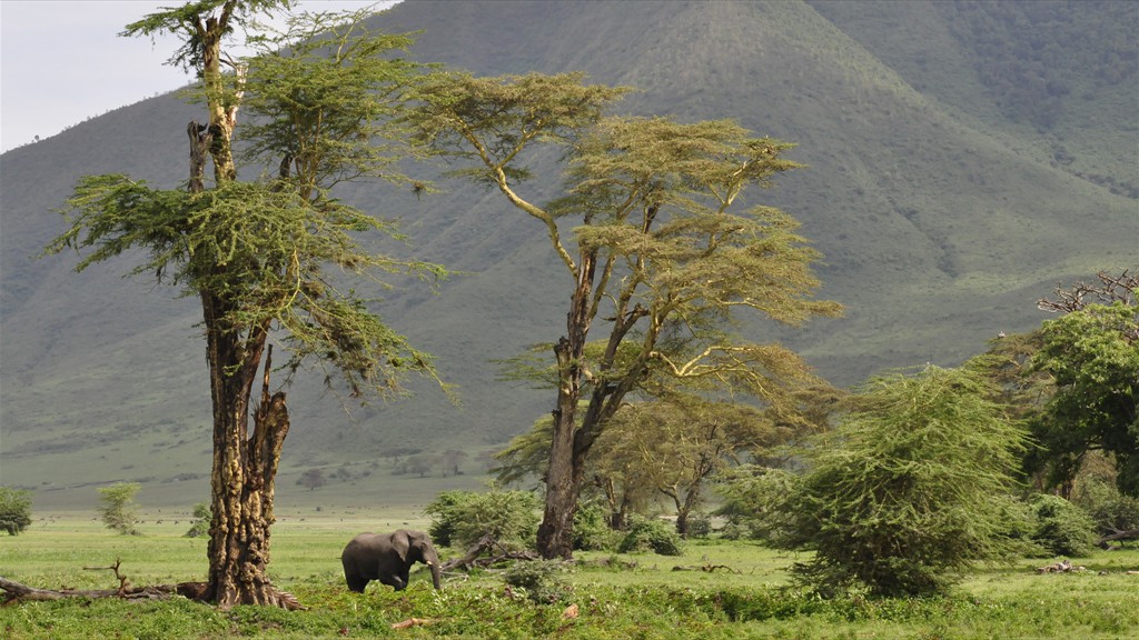 04. Serengeti & Ngorongoro (102)