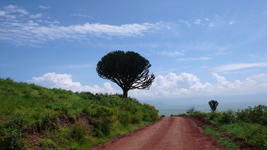 04. Serengeti & Ngorongoro (105)