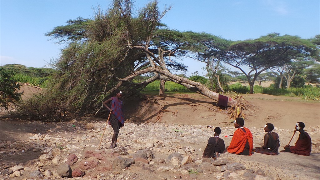 04. Serengeti & Ngorongoro (122)