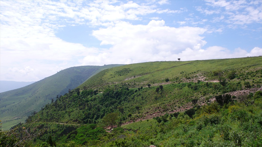 04. Serengeti & Ngorongoro (139)