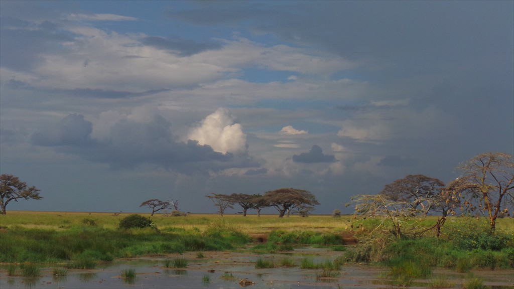 04. Serengeti & Ngorongoro (146)