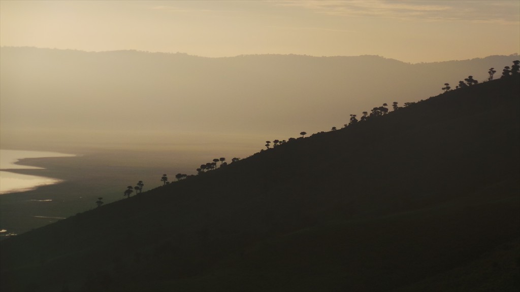 04. Serengeti & Ngorongoro (152)