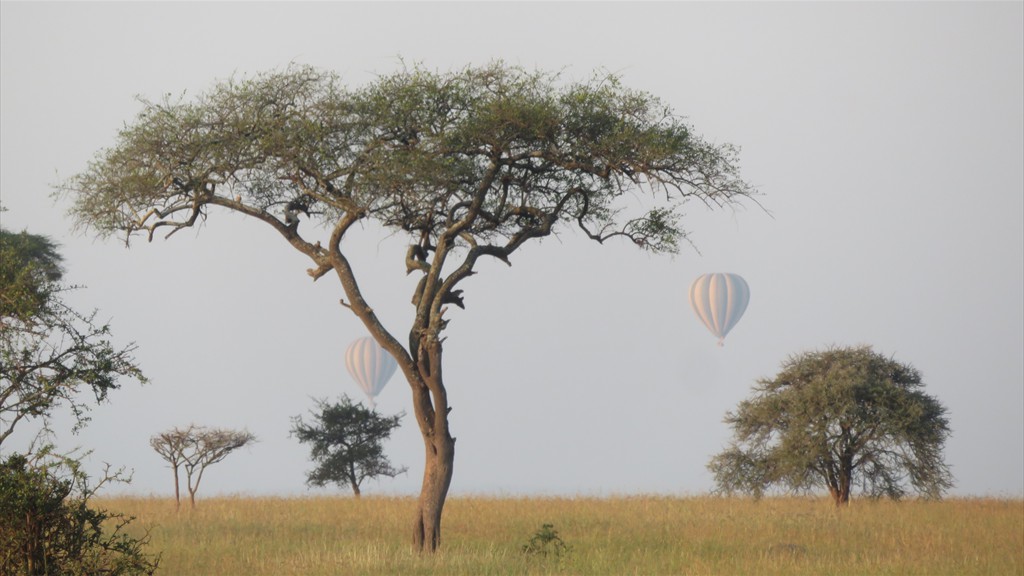 04. Serengeti & Ngorongoro (154)