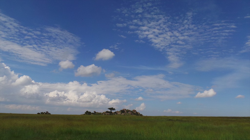 04. Serengeti & Ngorongoro (160)