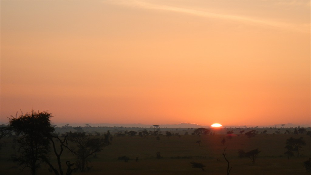 04. Serengeti & Ngorongoro (164)