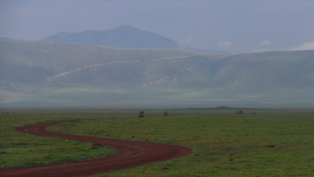 04. Serengeti & Ngorongoro (166)