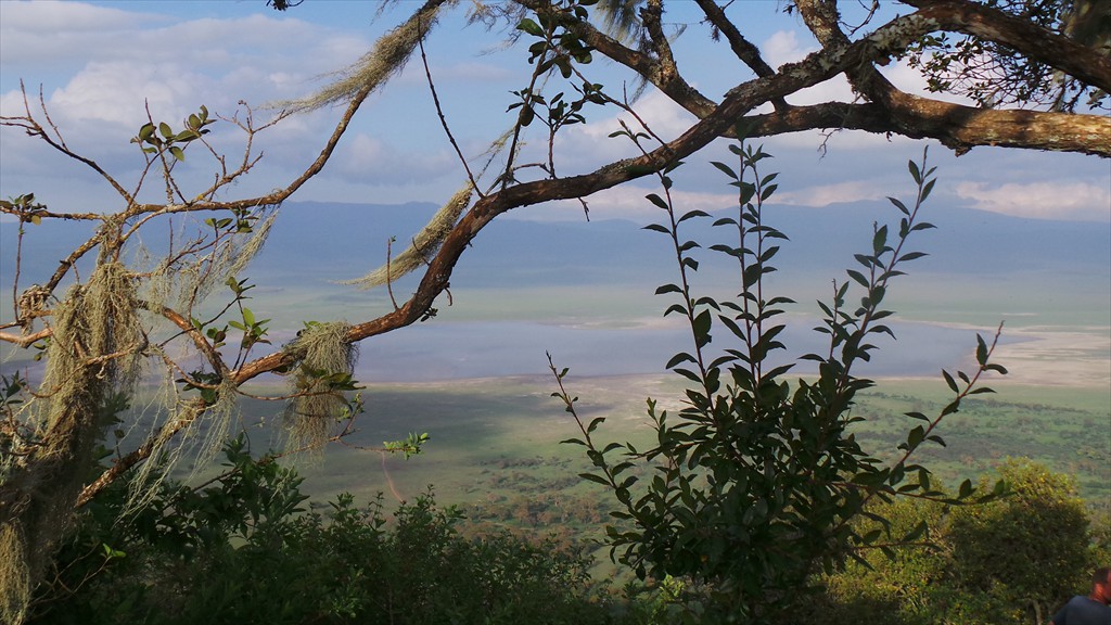 04. Serengeti & Ngorongoro (167)