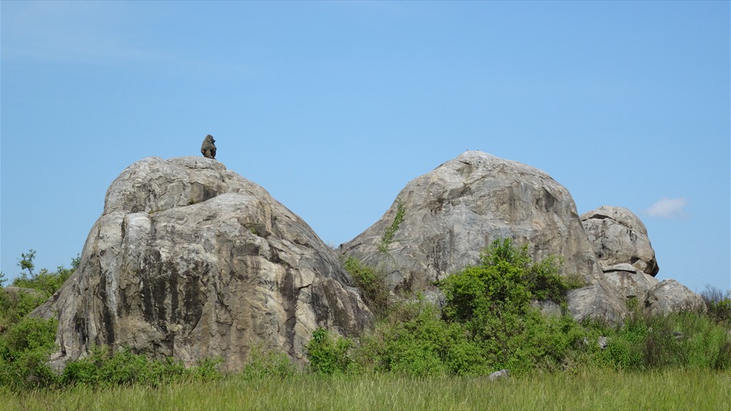 04. Serengeti & Ngorongoro (169)